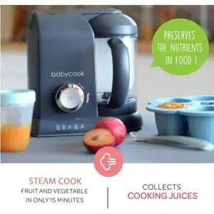 Beaba Babycook Solo 4 In 1 Food Processor Grey