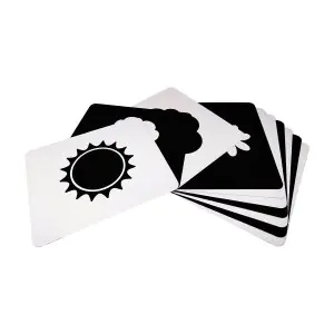BrainSmith Newborn Cards Nature