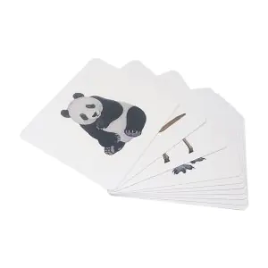 BrainSmith Quantum Cards Mammals