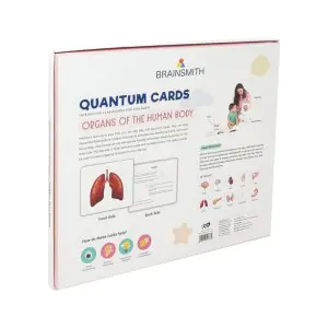 BrainSmith Quantum Cards Organs of the Human Body