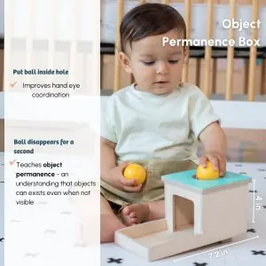 Curious Cub Baby Montessori Learning Wooden Level-4