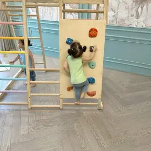 Curious Cub Foldable 7in1 Jungle Gym Set