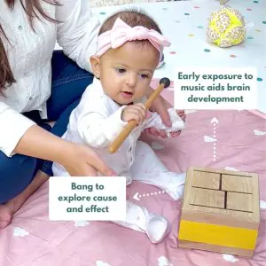 Curious Cub Montessori Learning Blocks Wooden Toys Box - Level 3