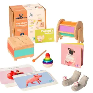 Curious Cub Montessori Learning Blocks Wooden Toys Box - Level 3