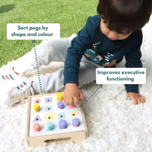 Curious Cub Montessori Learning Wooden Toys Level-14