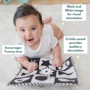 Curious Cub Montessori Learning Wooden Toys Level - 1