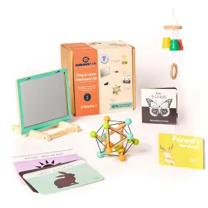 Curious Cub Montessori Learning Wooden Toys Level - 2