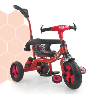 Dash Tricycle Everest 2IN1 FT-510