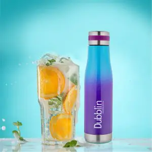 Dubblin SS Insulated Water Bottles Dream 550ML