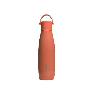 Dubblin SS Insulated Water Bottles Kiwi 500ML