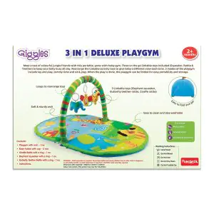 Funskool 3 in 1 Deluxe PLAYGYM