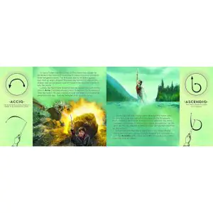 Harry Potter Wand Chooses The Wizard