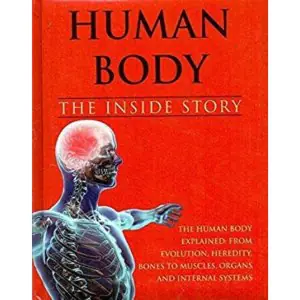 Human Body The Inside Story