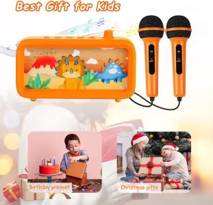 Kids Karaoke Machine Bluetooth Speaker with 2 Microphones