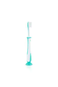 Pigeon Baby Trainig Tooth Brush - Green