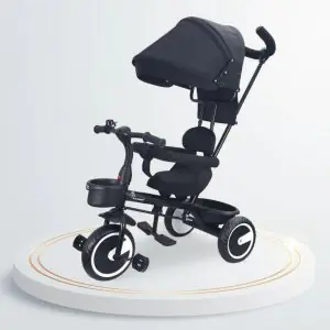 R for Rabbit Tiny Toes T30 Ace Tricycle Black