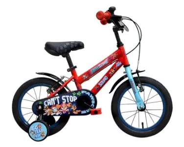 Ralleyz Bicycle Paw Patrol 16