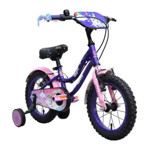 Ralleyz Bicycle Unicorn 14