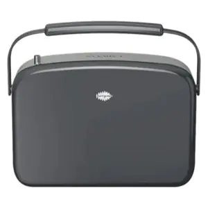 SAREGAMA Carvaan Lite Grey