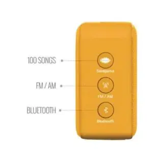 Saregama Carvaan Mini 2.0 Gurbani