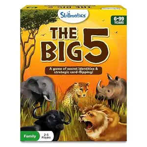 Skillmatics Card Game - The Big 5