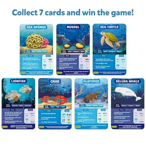 Skillmatics Underwater Animals