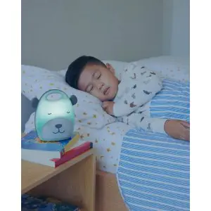 Skip Hop Beary Cute Take-Along Nightlight and Soother