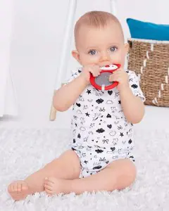 Skip Hop Stay Cool Teether