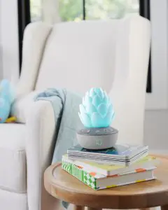Skip Hop Terra Cry Activated Soother