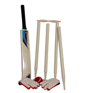 Speed Up X Force Cricket Set Size 1