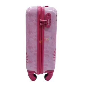 Striders My Little Pony Hard Luggage 18 Inch