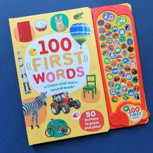 North Parade Publishing 100 First Words A Listen and Learn Sound Book!