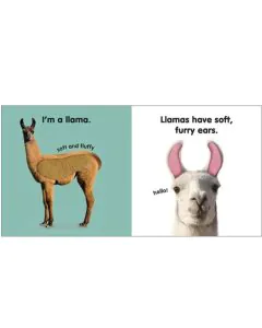 Dk Baby Touch and Feel Llama