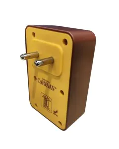 Saregama Carvaan Kids Plug Play