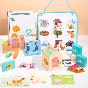 Curious Cub Play & Learn Montessori Box (Level- 10)