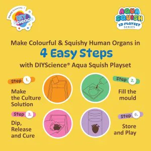 DIY Science Human Organs Aqua Squish Kit