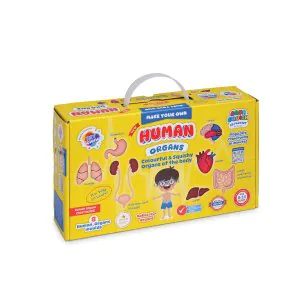 DIY Science Human Organs Aqua Squish Kit