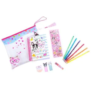 Hot Focus Erasable Coloured Pencils