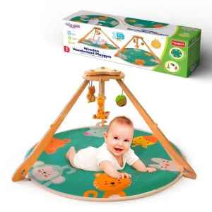 Funskool Wooden Wonderland Playgym