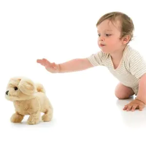 Pugs At Play Paw Pets Goldie The Golden Retriever