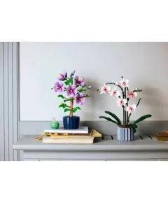Lego Hibiscus 10372 (660 Pieces)