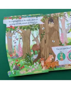 North Parad Let's Explore The Noisy Woods Sound Book