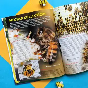 North Parade Wonders of Learning Discover Bees Educational Box Set