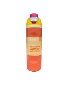 Owala FreeSip Stainless Steel Water Bottle, 19oz - Orange