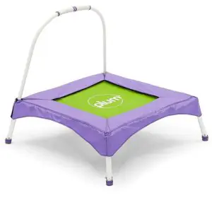 Plum Junior Bouncer with handle