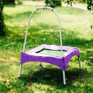 Plum Junior Bouncer with handle