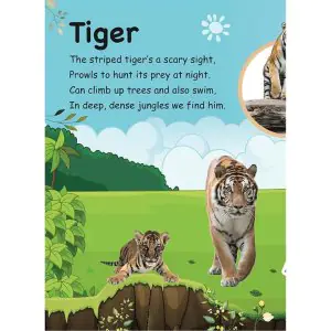 Om Roar In The Jungle Sound Book