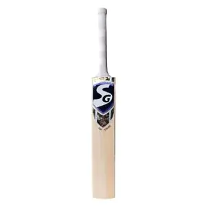 SG HP Spark Kashmir Willow Cricket Bat