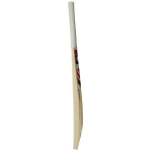 SG Max Cover Kashmir Willow Cricket Bat
