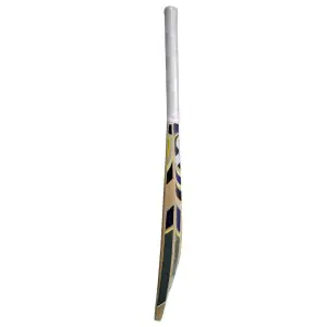 SG Sierra Plus Kashmir Willow Cricket Bat